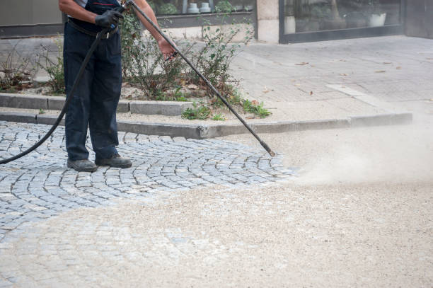 Best Residential Exterior Washing  in Southchase, FL